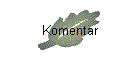 Komentar