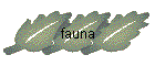 fauna