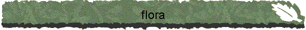 flora
