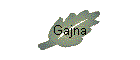 Gajna
