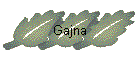 Gajna