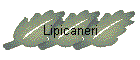 Lipicaneri